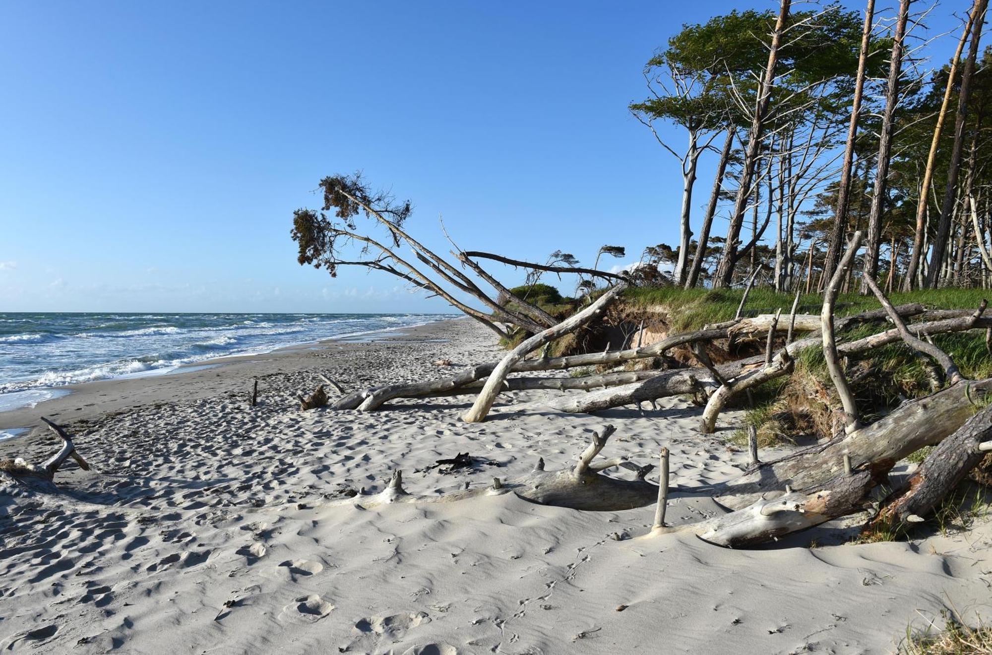 Strand Zingst Extérieur photo