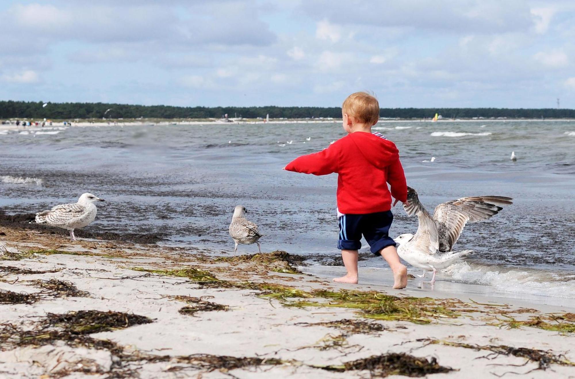 Strand Zingst Extérieur photo